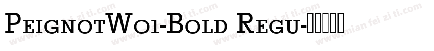 PeignotW01-Bold Regu字体转换